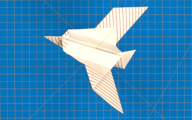 Fold 'N Fly » Eagle Eye Paper Airplane